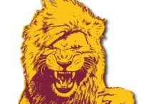 Roar Lions Finals